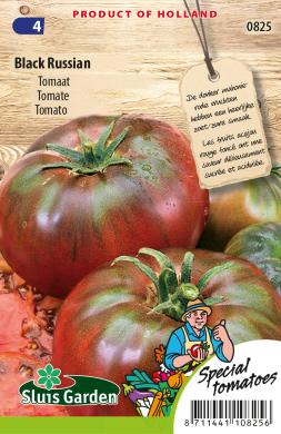 Tomaat Black Russian (Solanum) 60 zaden